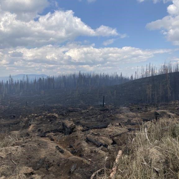 Rain and cooler weather bring reprieve to B.C. wildfire crews, but only for few days